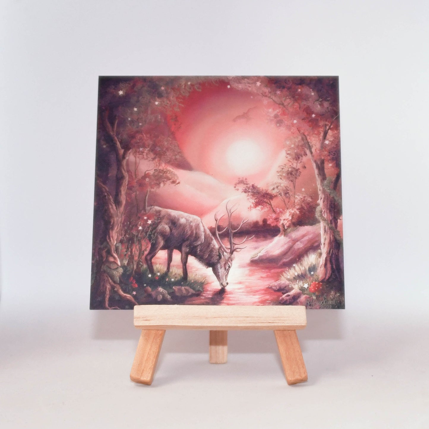 The Enchanted Lands Collection