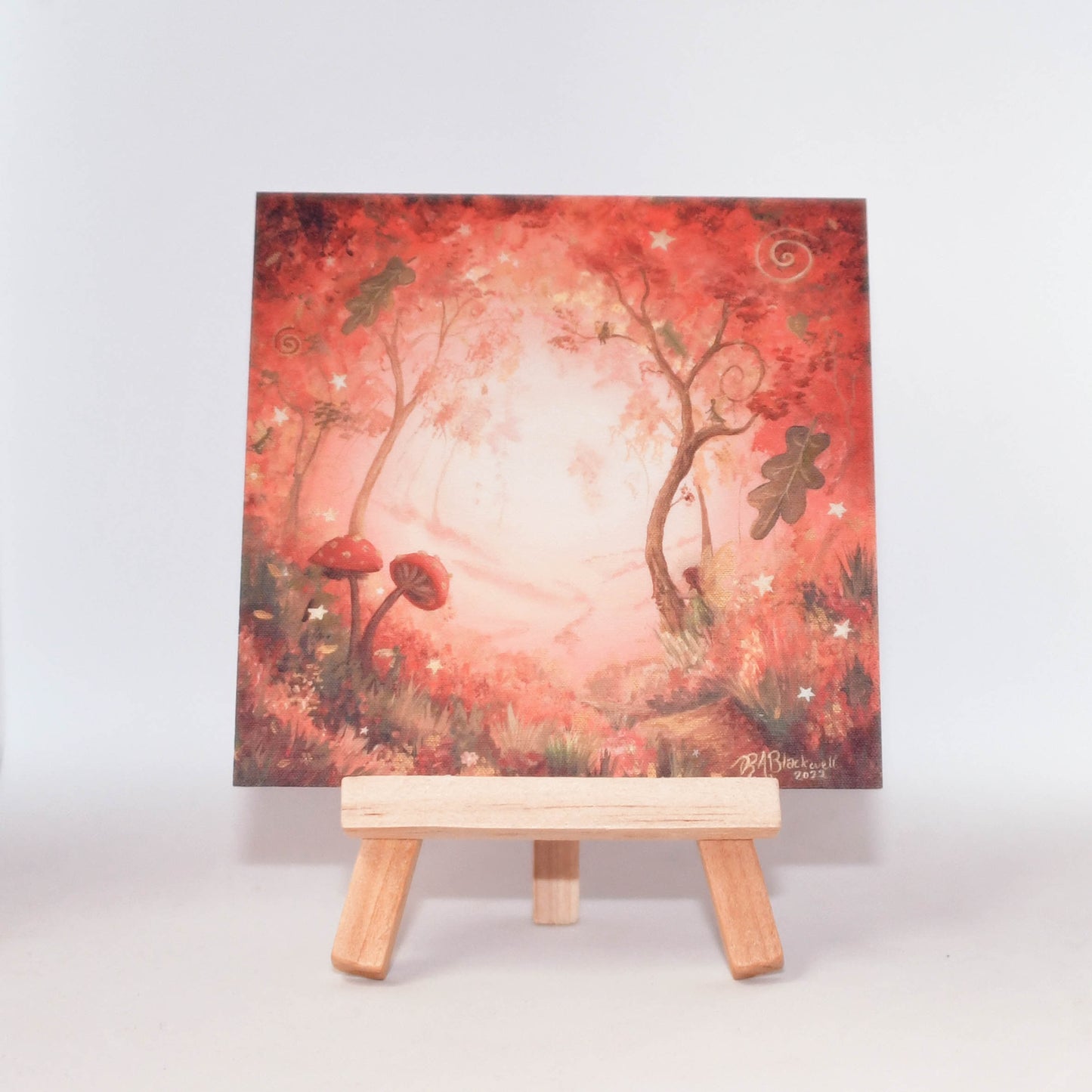 The Enchanted Lands Collection