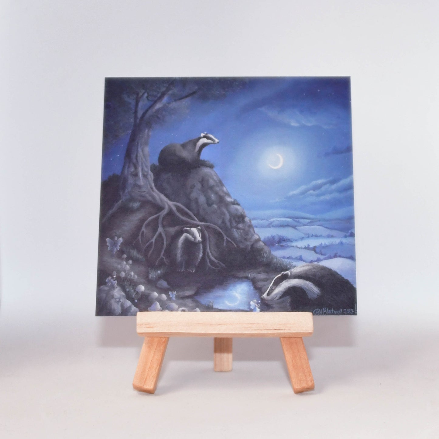 The Enchanted Lands Collection