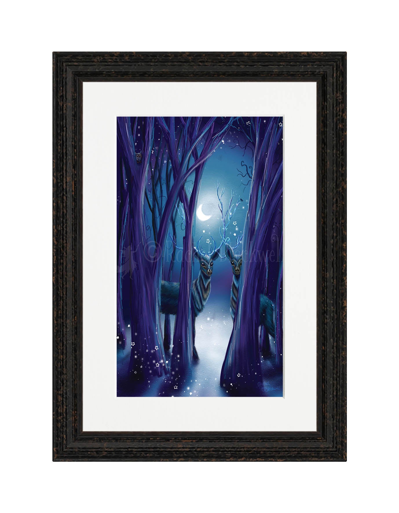 Looking Beyond -Giclee Print