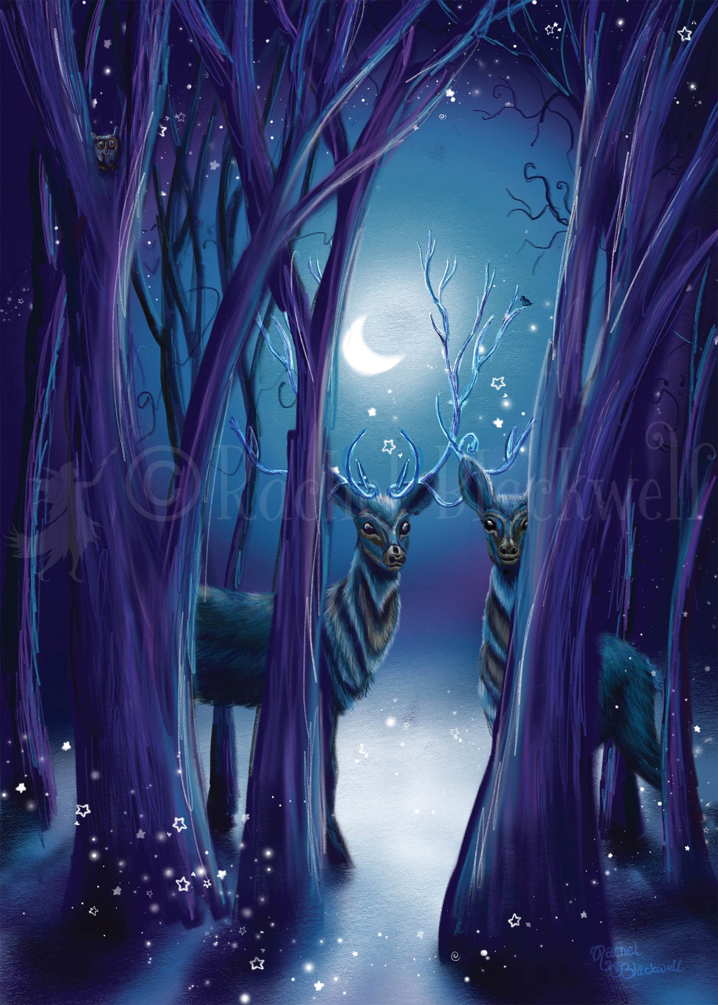 Looking Beyond -Giclee Print