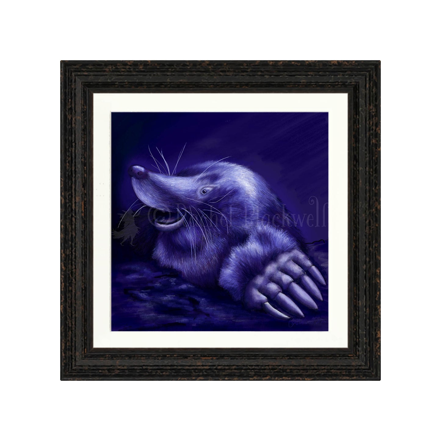 Mole -Giclee Print