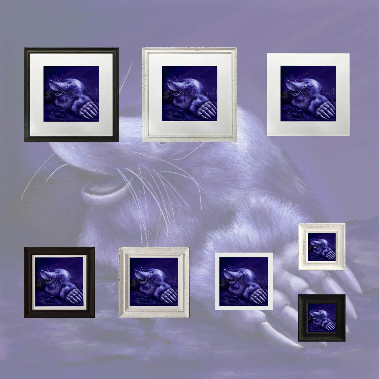 Mole -Small Giclee