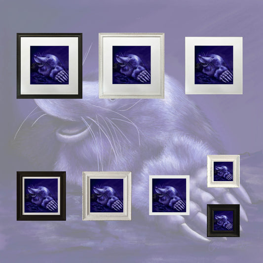 Mole -Giclee Print