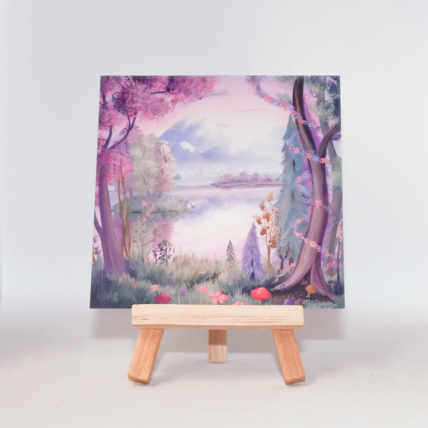The Enchanted Lands Collection