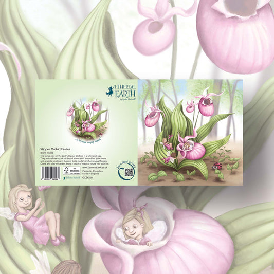 Slipper Orchid Fairies