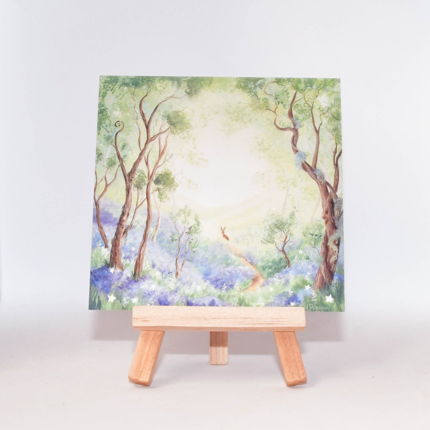 The Enchanted Lands Collection