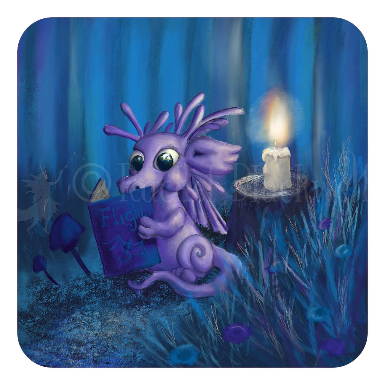 Coasters - The Bookworm