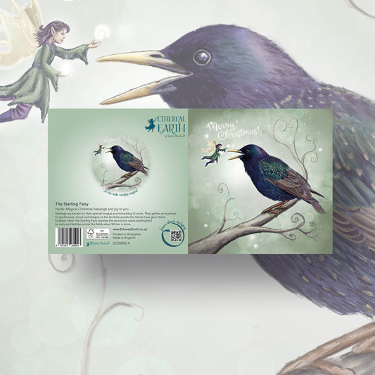 The Starling Fairy - Xmas