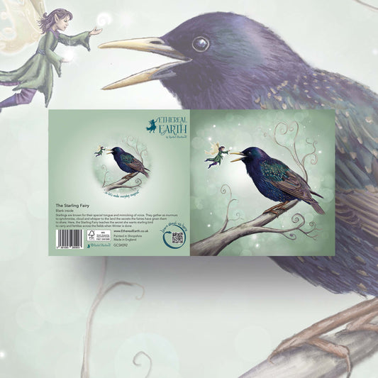 The Starling Fairy