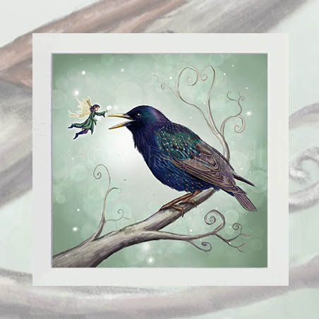 The Starling Fairy - Unsigned Giclee Mount