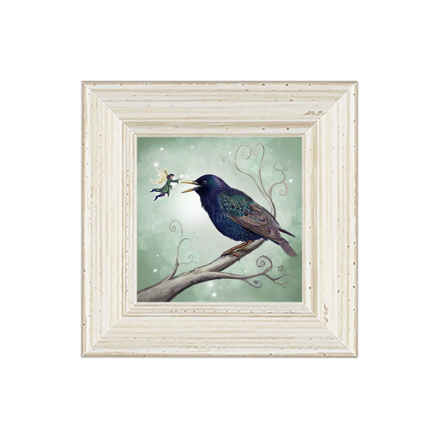The Starling Fairy -Small Giclee