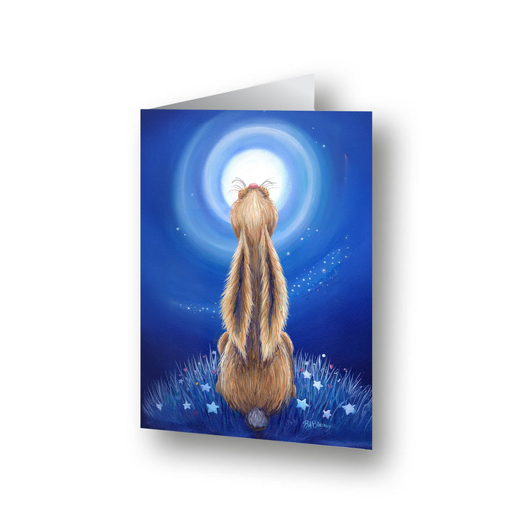 Magical Hares - cards