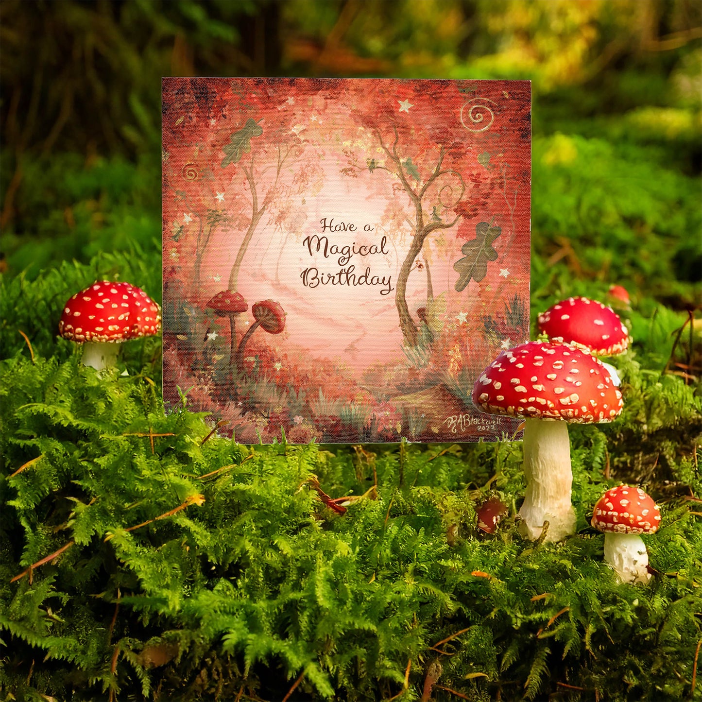 Autumn's Light - Birthday