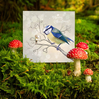 Blue Tit - The Messenger - Xmas