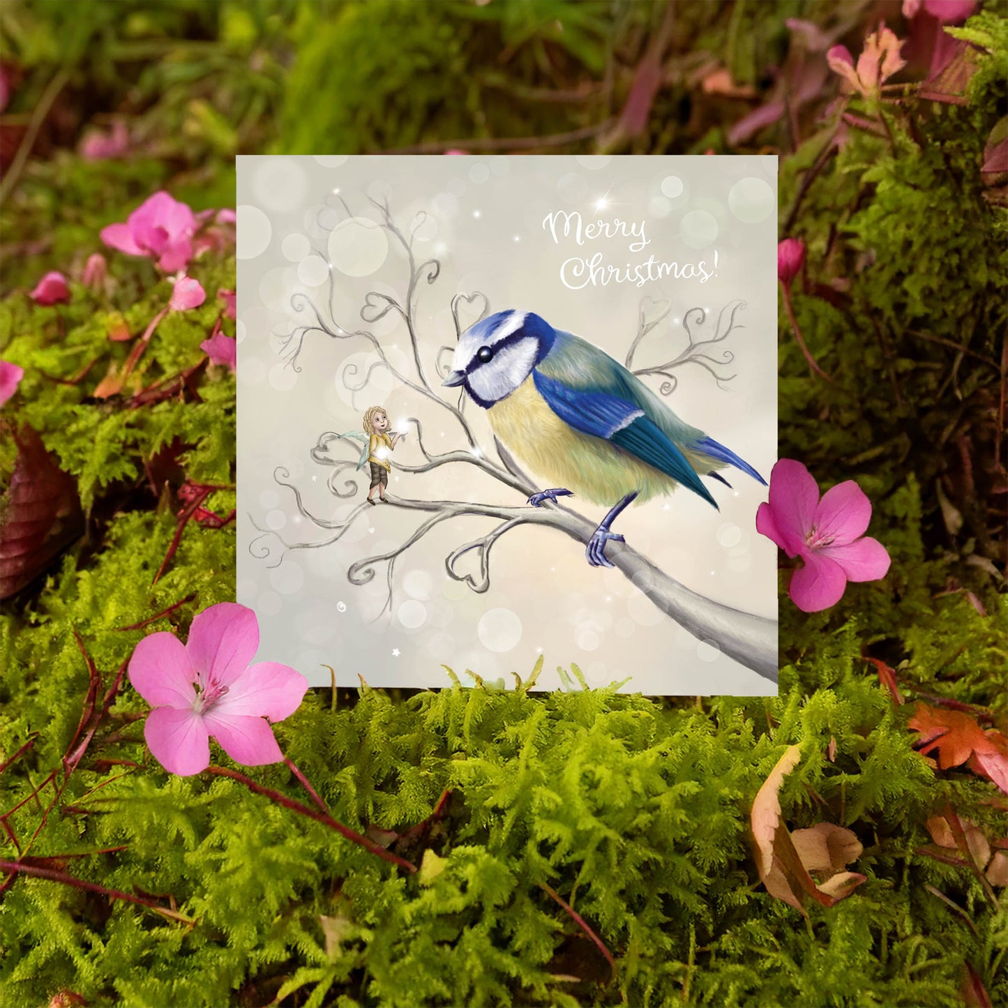 Blue Tit - The Messenger - Xmas