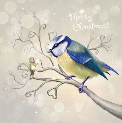 Blue Tit - The Messenger - Xmas