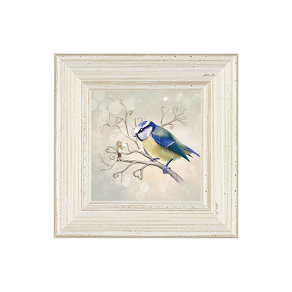Blue Tit - The Messenger  -Small Giclee