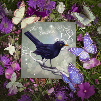 Chrismas Blackbird