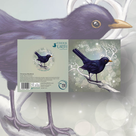 Chrismas Blackbird