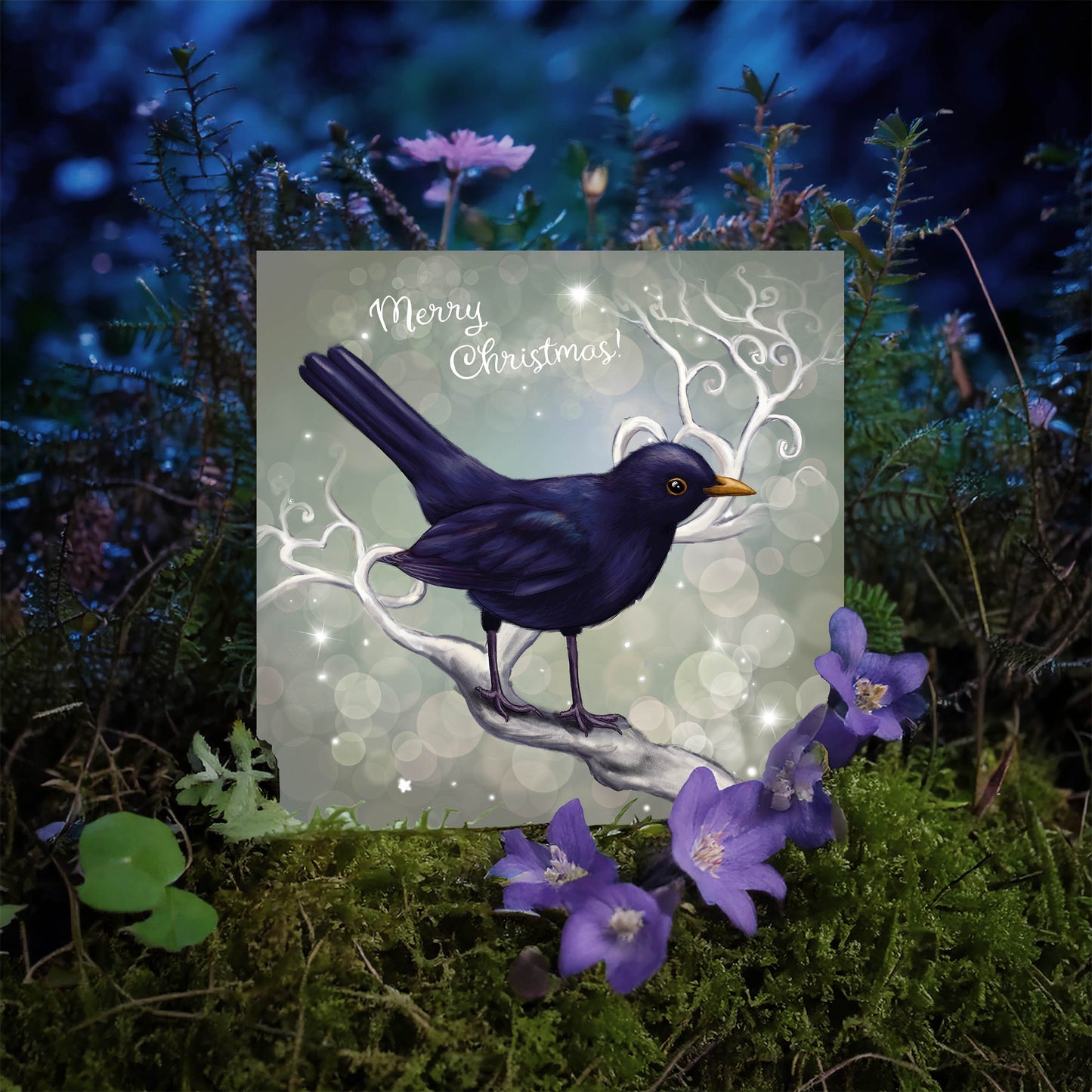 Chrismas Blackbird