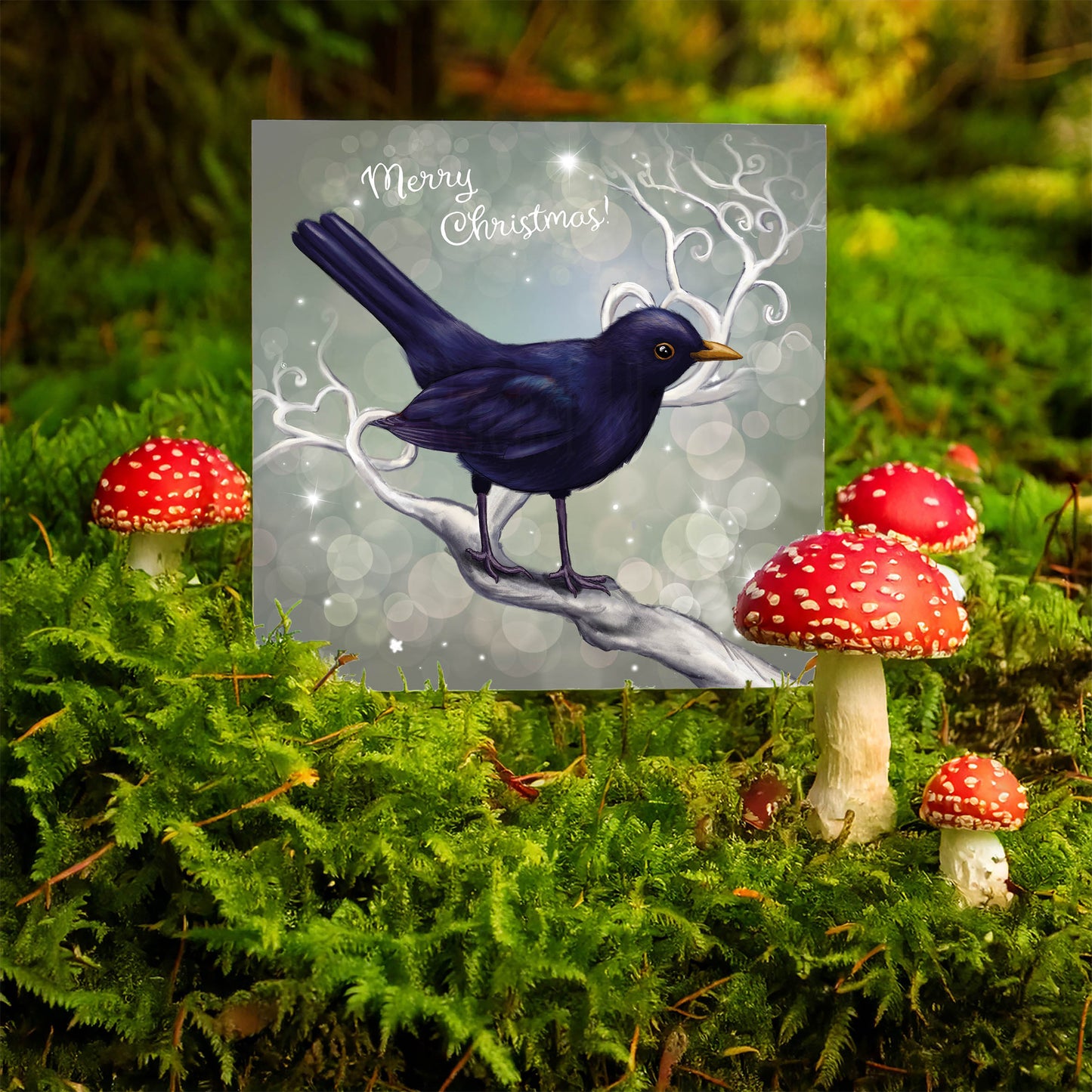 Chrismas Blackbird