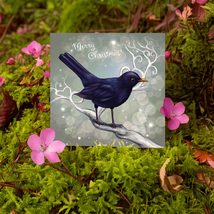 Chrismas Blackbird
