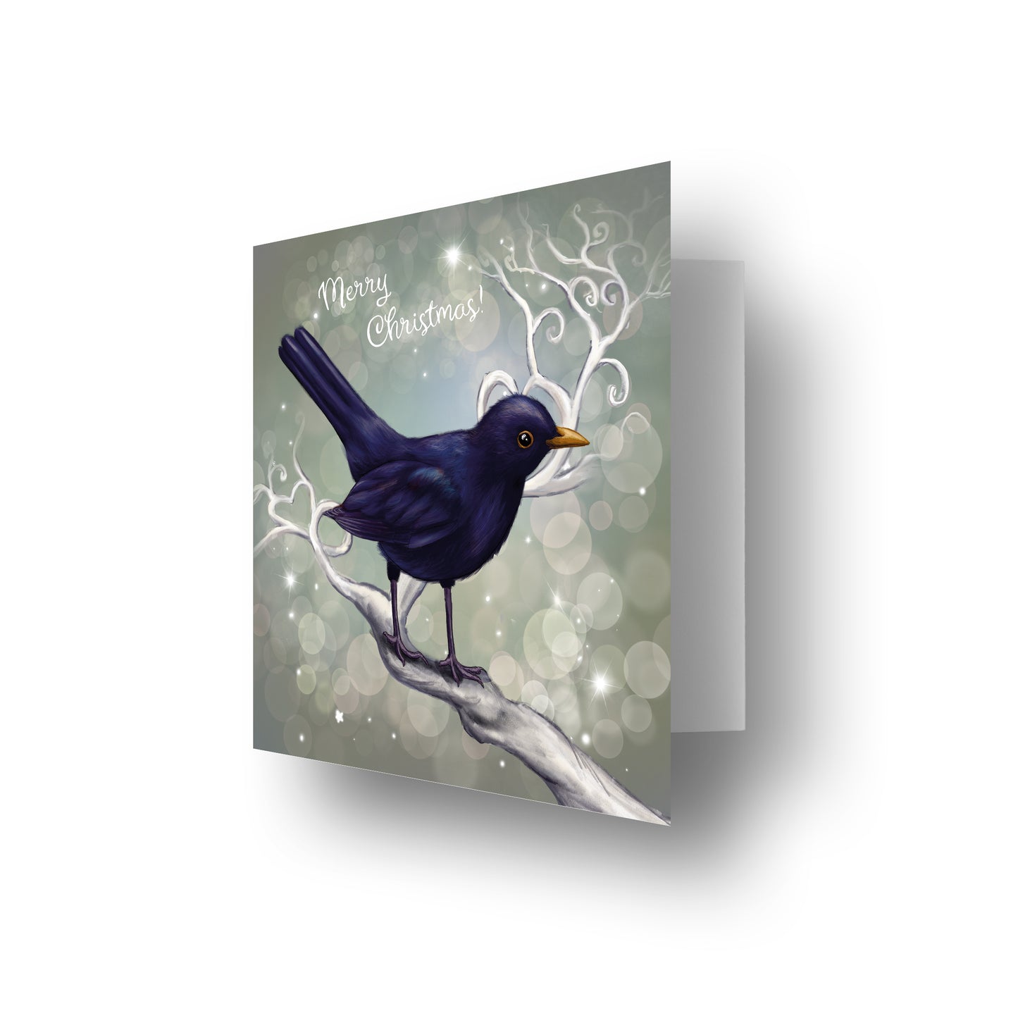Chrismas Blackbird