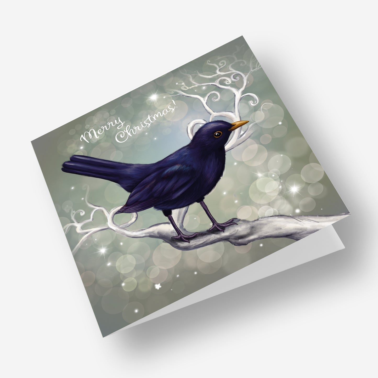 Chrismas Blackbird