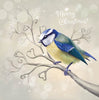 Christmas Blue Tit