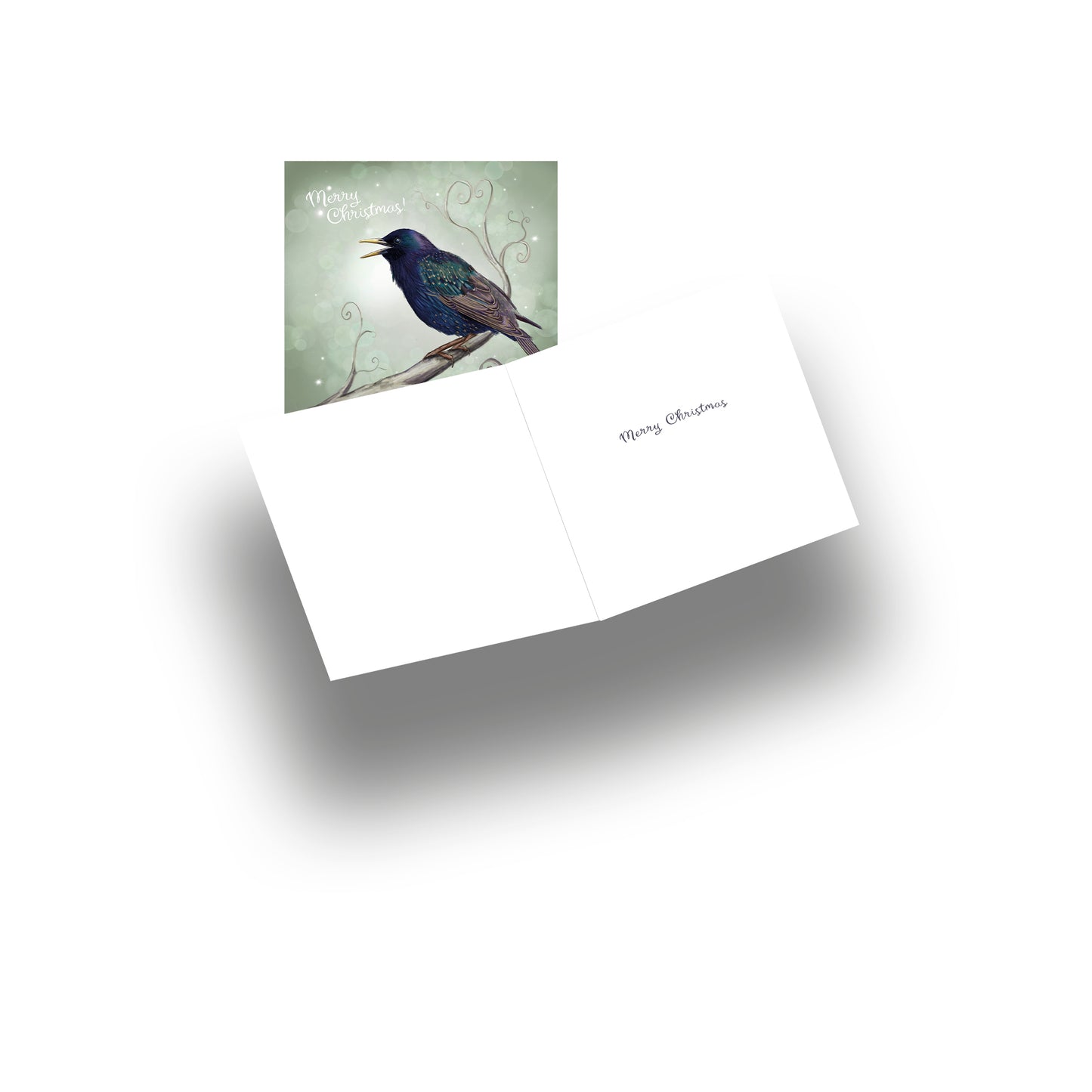 Christmas Starling