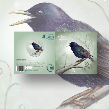 Christmas Starling