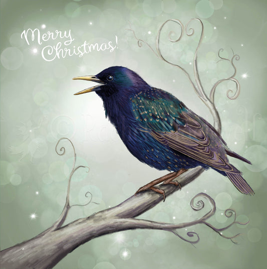 Christmas Starling