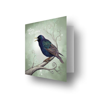 Christmas Starling