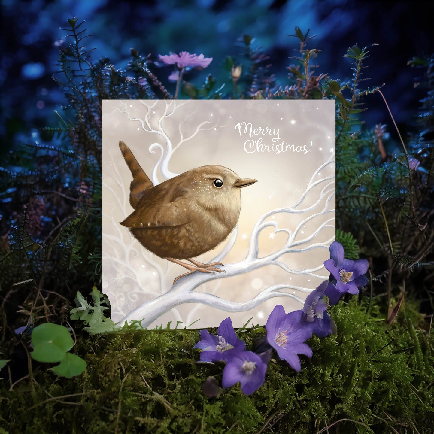 Christmas Wren