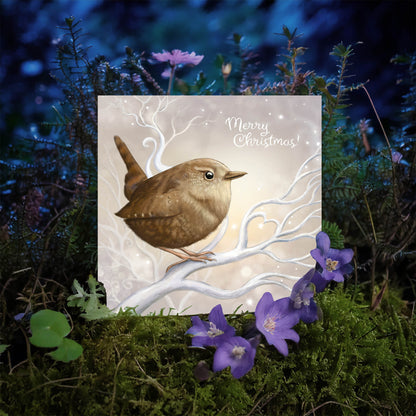 Christmas Wren