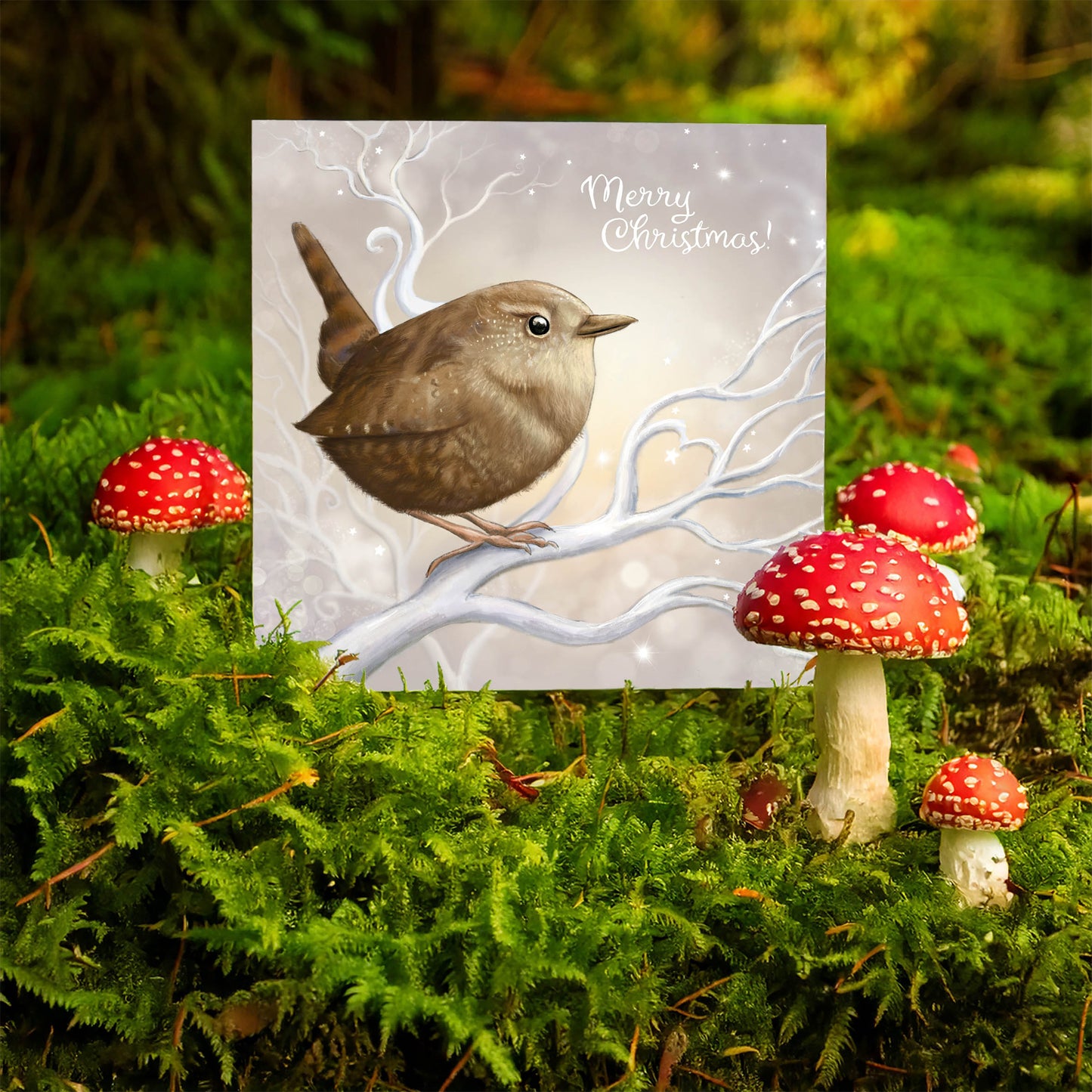 Christmas Wren