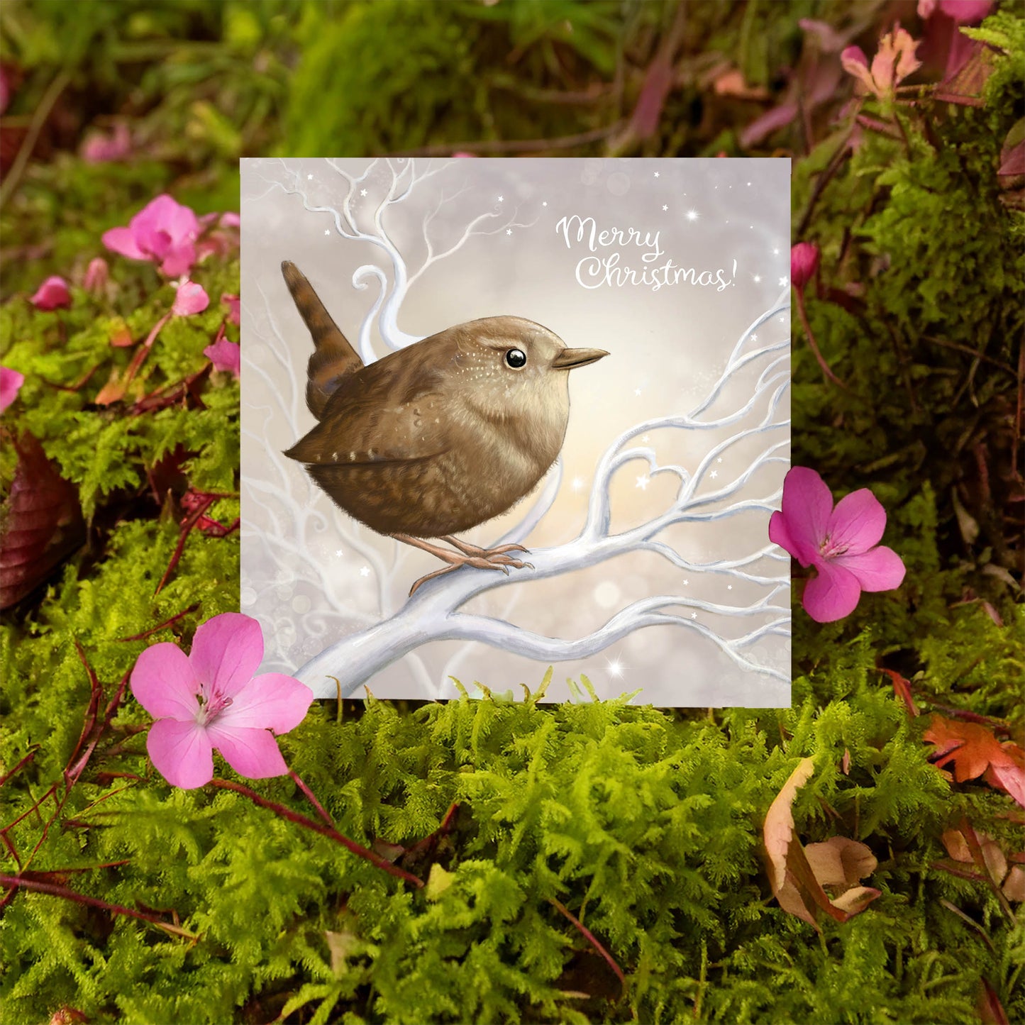 Christmas Wren