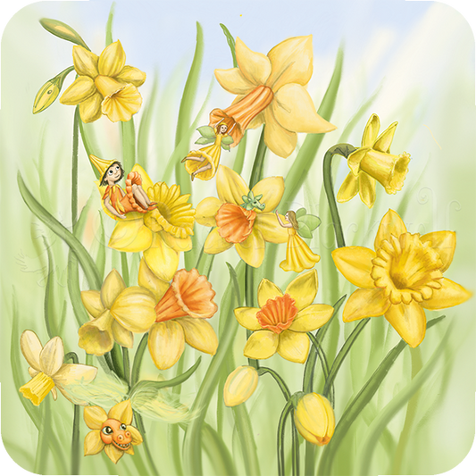 Coasters - Dancing Daffodils