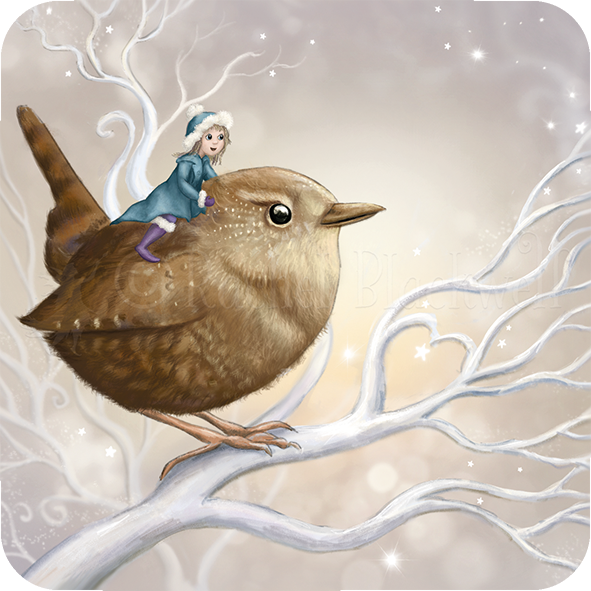 Coasters - Fairy Wren