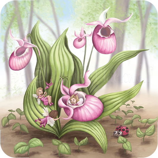 Coasters - Slipper Orchid Fairies