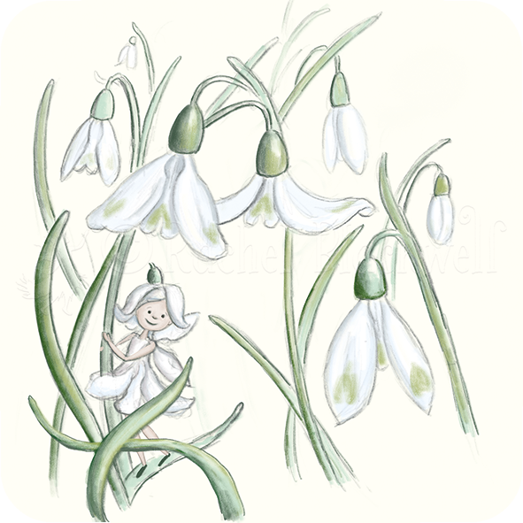 Placemat - Snowdrop Fairy
