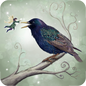 Coasters - The Starling Fairy