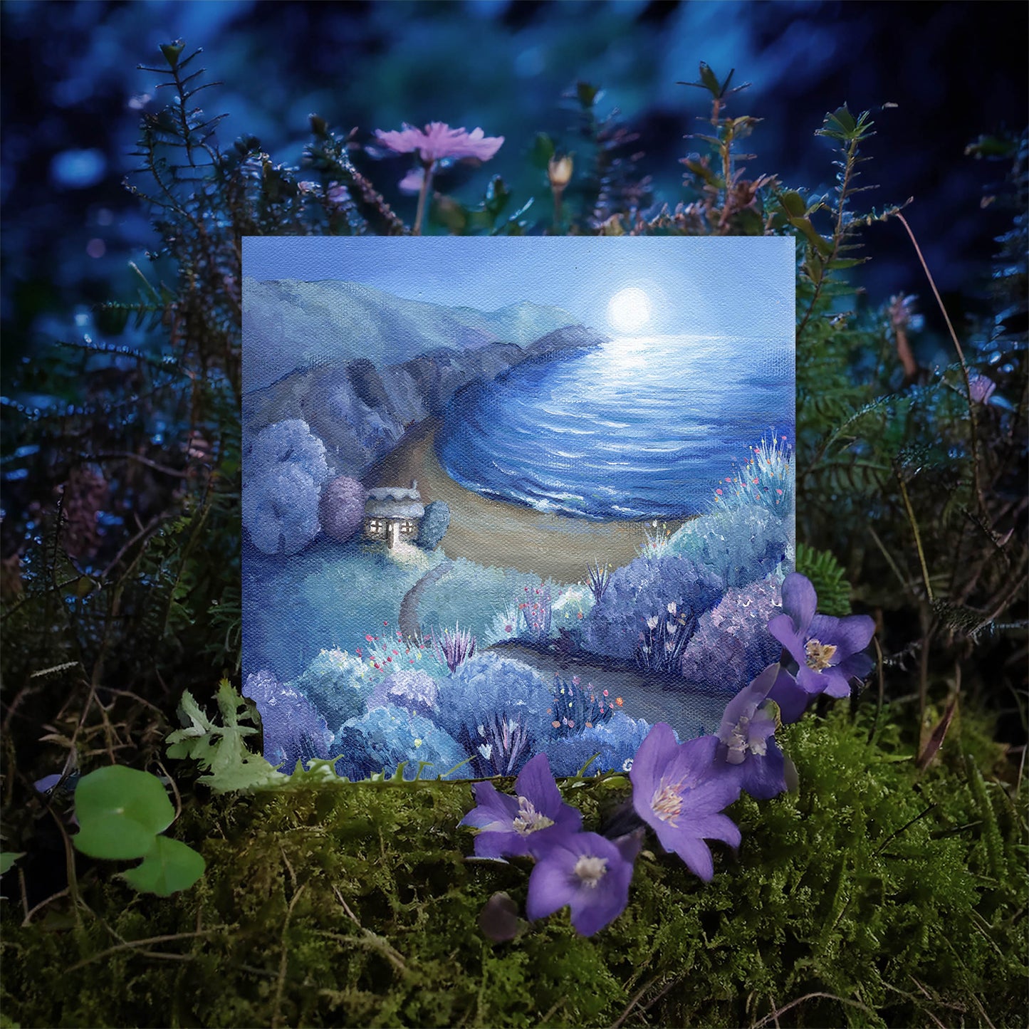 Cosy Cove