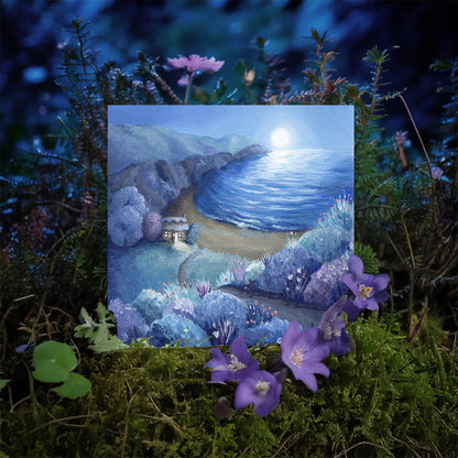 Cosy Cove