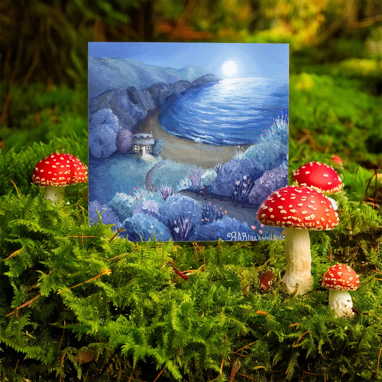 Cosy Cove
