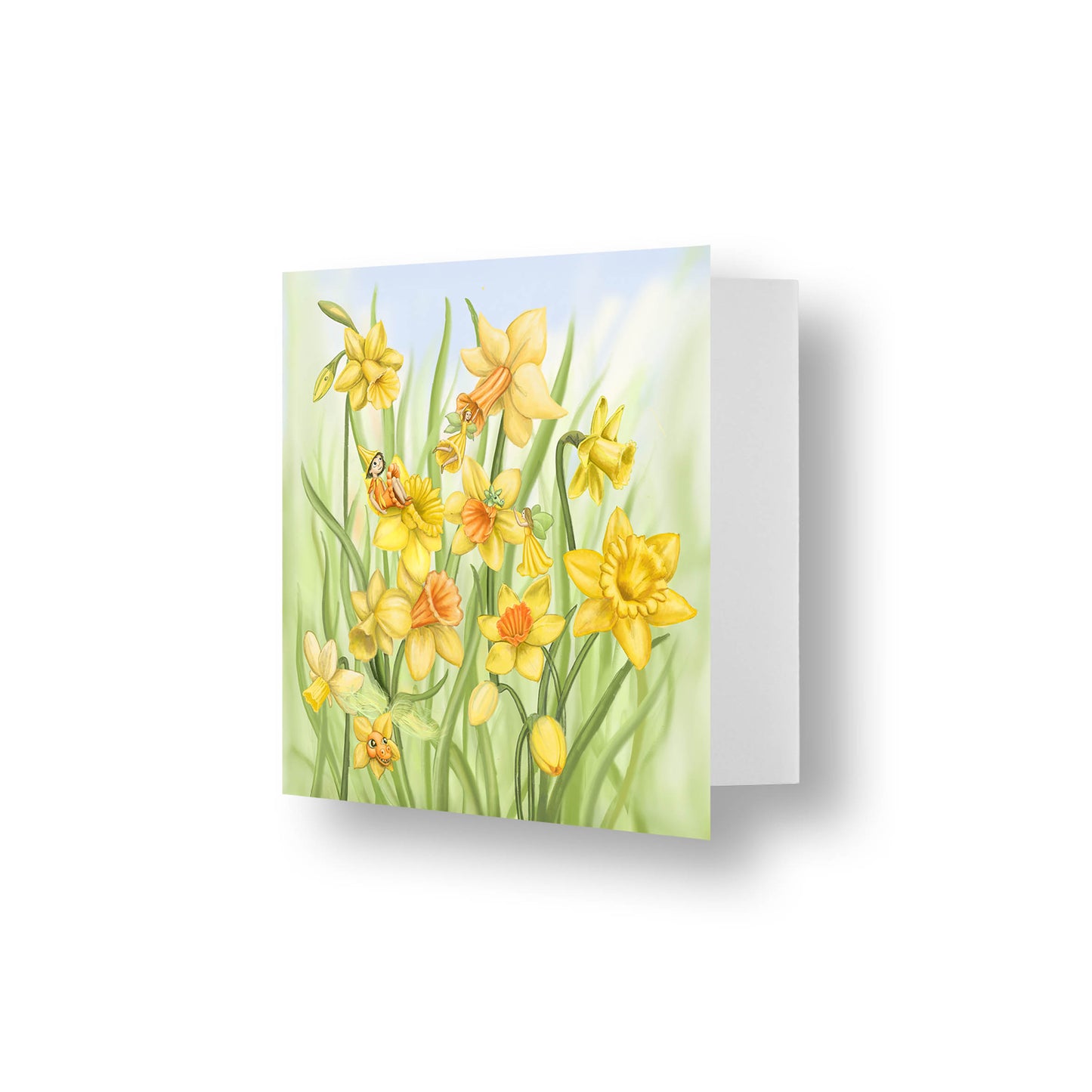 Dancing Daffodils