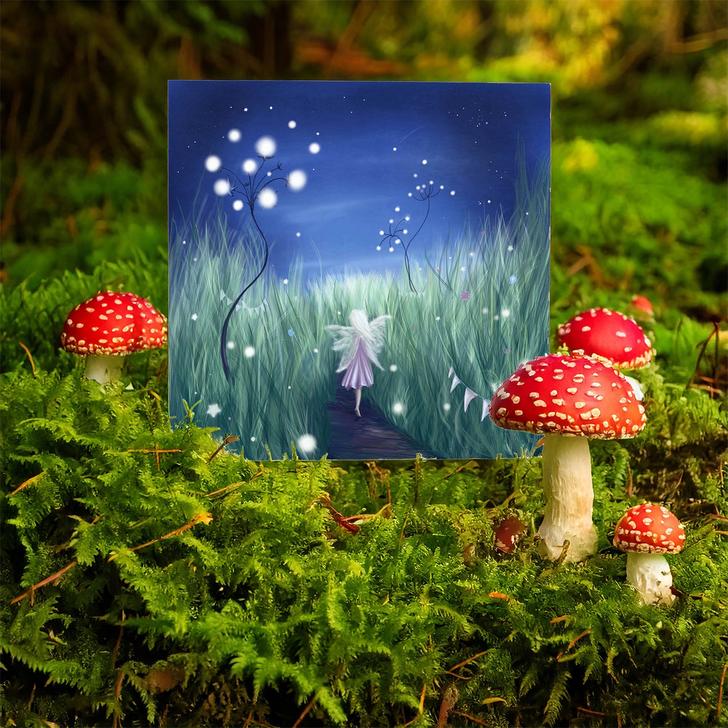 Fairy Night