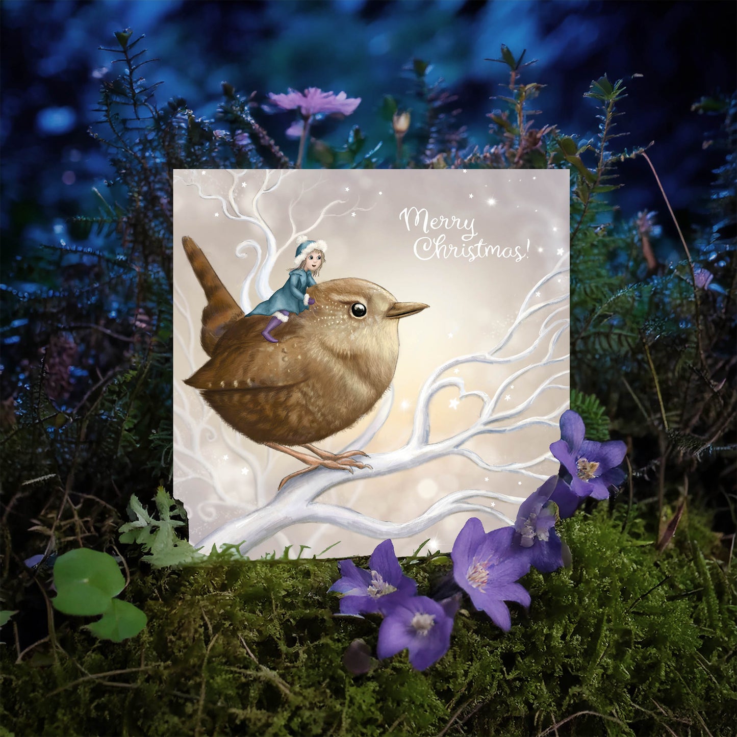 Fairy Wren - Xmas