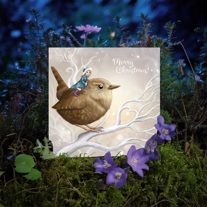 Fairy Wren - Xmas